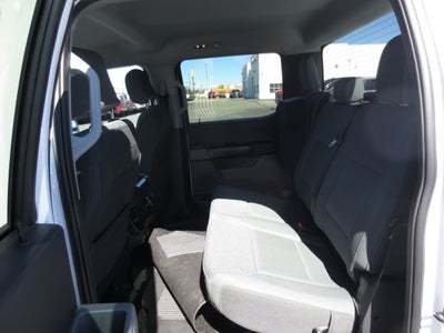 2025 Ford F-150 XL Hybrid